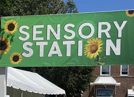 Sensory Friendly Sunflower Hours 3